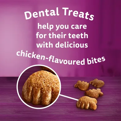 Whiskas Dentabites Mega Pack with Chicken - Multibuy: 2 x 120g
