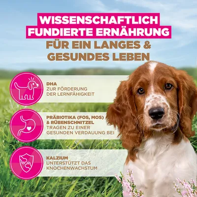 Eukanuba Grain Free Puppy Small & Medium Breed - Ocean Fish