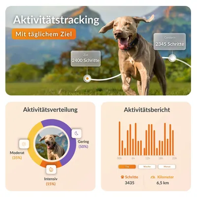 Weenect Haustier GPS Tracker XT für Hunde