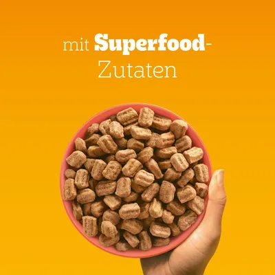 Pedigree Adult mit Rind & Gemüse