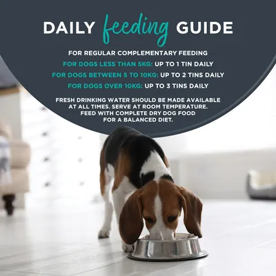 Encore Dog Tin in Broth Saver Pack 32 x 156g