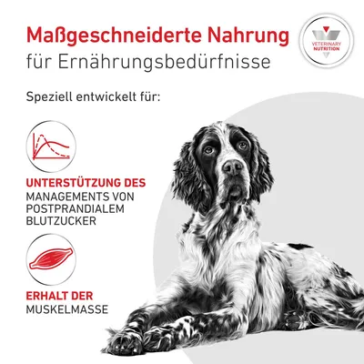 Royal Canin Veterinary Canine Glycobalance Mousse
