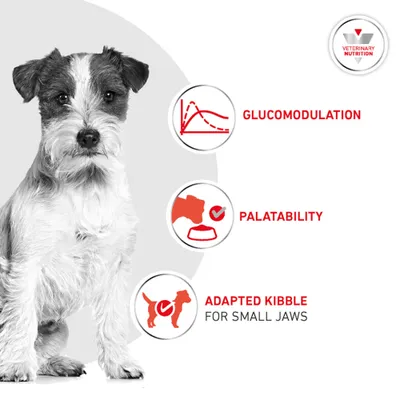 Graphic with dog and three points: Glucomodulation, Palatability, Adapted Kibble for Small Jaws. Top right reads Veterinary Nutrition. Graphic with dog and three points: Glucomodulation, Palatability, Adapted Kibble for Small Jaws. Top right reads Veterinary Nutrition.