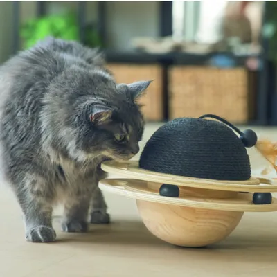 Designed by Lotte Balle en bois pour chat Baya Designed by Lotte Balle en bois pour chat Baya