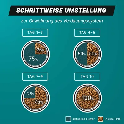 PURINA ONE High Protein Lachs - 650 g PURINA ONE High Protein Lachs - 650 g