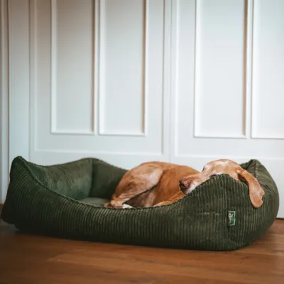 Dog lying asleep in a green, ribbed dog bed with a small label on the side. Dog lying asleep in a green, ribbed dog bed with a small label on the side.