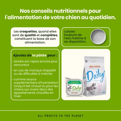 Conseils nutritionnels pour chiens : Croquettes de haute qualité et complètes comme base, toujours mettre de l'eau fraîche à disposition, pâtée pour le goût, en cas de manque d'appétit ou pour une hydratation supplémentaire. Conseils nutritionnels pour chiens : Croquettes de haute qualité et complètes comme base, toujours mettre de l'eau fraîche à disposition, pâtée pour le goût, en cas de manque d'appétit ou pour une hydratation supplémentaire.