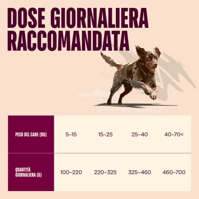 Carnilove Active Adult Salmone & Tacchino