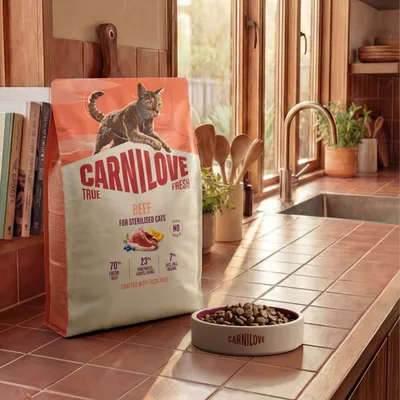 Carnilove True Fresh Beef für sterilisierte Katzen. 70% frisches Rind, 23% Gemüse, Früchte, Kräuter, 7% Fett, Öle, Omega. Crafted with fresh beef. Keine künstlichen Zusätze.
