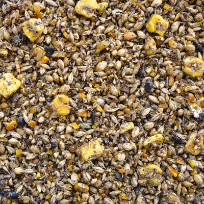 Nahaufnahme von gemischtem Vogelfutter mit Körnern, Samen und gelben Maisstücken.