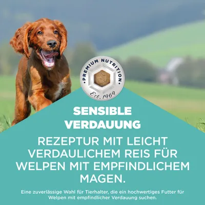 Eukanuba Special Care Sensitive Digestion Puppy mit Huhn & Pute