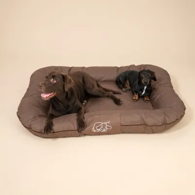 Zwei Hunde liegen auf einem großen, braunen Hundebett mit gesticktem Hundemotiv an der Vorderseite. Zwei Hunde liegen auf einem großen, braunen Hundebett mit gesticktem Hundemotiv an der Vorderseite.