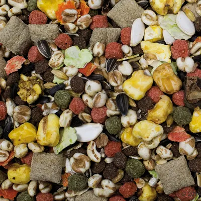Sekoitus erilaisia jyviä, siemeniä, värillisiä pellettejä ja kuivattuja kasviksia. Näkyvissä myös auringonkukansiemeniä ja popcornin paloja.