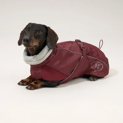 Nomad Tales Spirit Softshell-Hundemantel, burgunderrot Nomad Tales Spirit Softshell-Hundemantel, burgunderrot