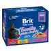 Brit Premium Cat 12 x 100 g