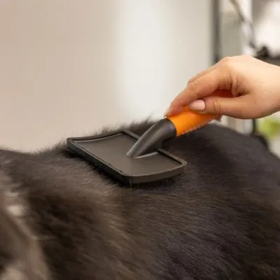 WAHL® Spazzola cardatrice WAHL® Spazzola cardatrice
