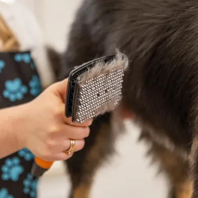 Wahl självrengörande nylonkarda Wahl självrengörande nylonkarda