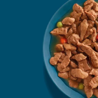 Perfect Fit Adult 1+ Pouches Mixed Pack Chunks in Gravy