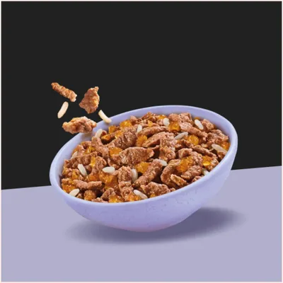 Cesar Portionsbeutel in Gelee Senior 10+ - Sparpaket: 80 x 100 g Cesar Portionsbeutel in Gelee Senior 10+ - Sparpaket: 80 x 100 g