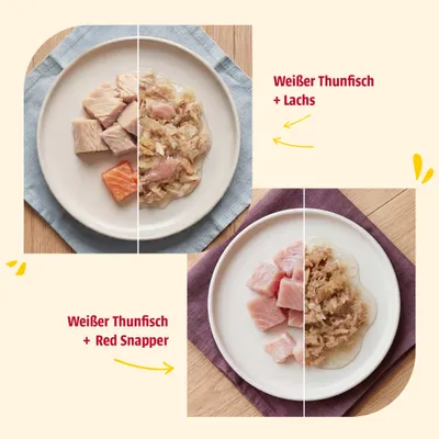 Zwei Teller mit Fischsorten: Weißer Thunfisch und Lachs auf dem oberen Teller, Weißer Thunfisch und Red Snapper auf dem unteren Teller. Jeweils roh und zubereitet dargestellt. Zwei Teller mit Fischsorten: Weißer Thunfisch und Lachs auf dem oberen Teller, Weißer Thunfisch und Red Snapper auf dem unteren Teller. Jeweils roh und zubereitet dargestellt.
