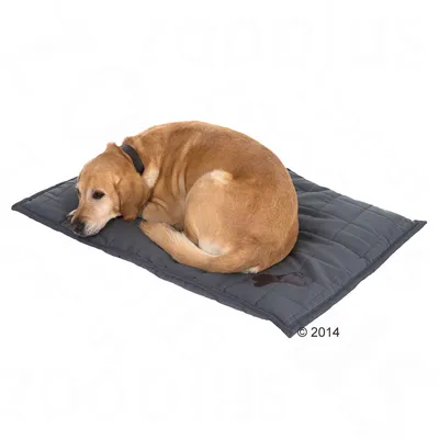 Hund liegt auf einer schwarzen, gepolsterten Hundematte mit gestepptem Design und Knochenmotiv.