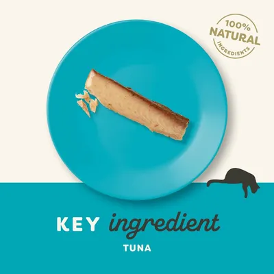 100% NATURAL INGREDIENTS, KEY ingredient TUNA – tekst w języku angielskim na grafice z kawałkiem tuńczyka na niebieskim talerzu