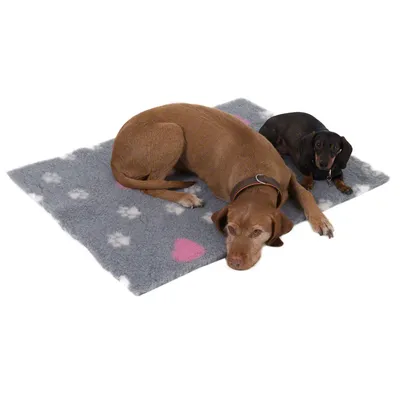 Zwei Hunde liegen auf einer grauen Hundedecke mit weissen Pfotenabdrücken und rosa Herzmotiv.