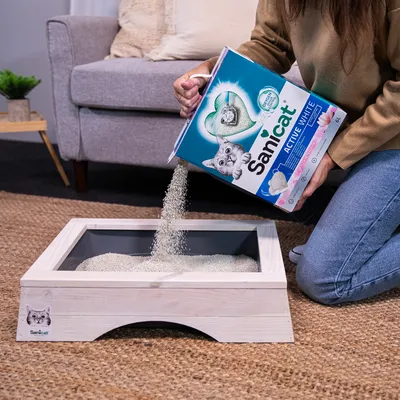 Litière pour chat Sanicat Active White, boîte de 10 L versée dans un bac à litière en bois clair. Marque et nom du produit visibles sur l'emballage et le bac.