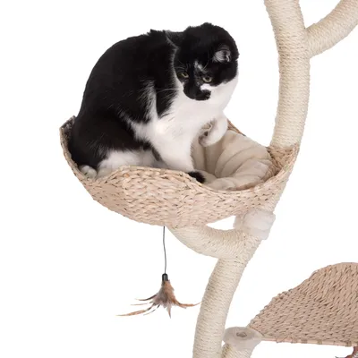 Zwart-witte kat zit in een mandje van gevlochten materiaal op een krabpaal met sisal touw en bungelend veerspeeltje, zachte kussen zichtbaar in het mandje.