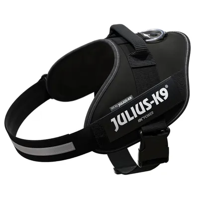 Black Julius-K9 IDC power harness with reflective stripes and sturdy fastener. Visible brand name: Julius-K9.