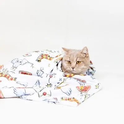 Harry Potter huisdierdeken Hedwig