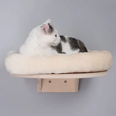 Hvid og grå kat ligger i rund, vægmonteret kattekurv med blød, lys plys og træbund. Monteringsbeslag synligt under kurven.