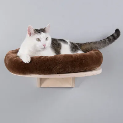 Chat allongé sur un panier mural rond en peluche marron avec support en bois clair, fixé au mur.