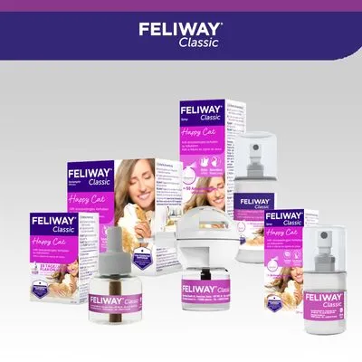 Vários produtos Feliway Classic visíveis, incluindo recargas, difusor e sprays. Embalagens com texto 'Happy Cat' e imagens de gatos. Marca Feliway Classic destacada nas caixas.