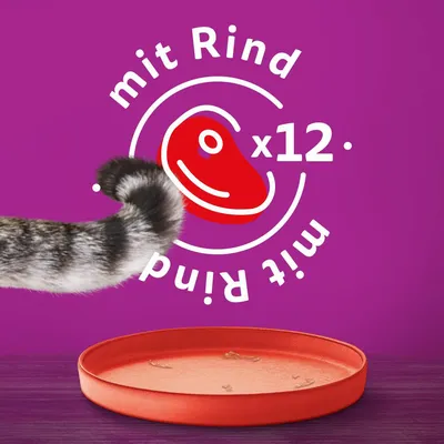 Med oksekød x12. Illustration af et rødt stykke kød på lilla baggrund med tom madskål og synlig kattepotehale.