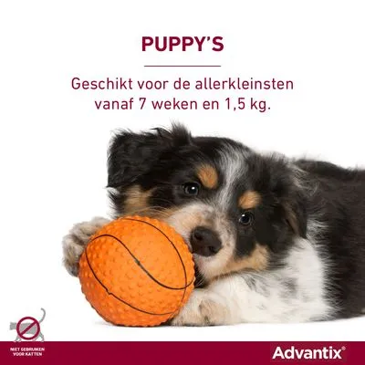 Advantix® 40/200 Spot-On Solution voor Honden tot 4 kg