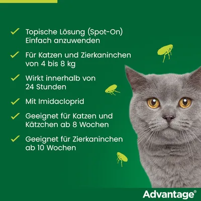 Advantage Spot-On Lösung. Für Katzen und Zierkaninchen von 4-8 kg. Wirkt innerhalb von 24 Stunden. Mit Imidacloprid. Geeignet für Katzen ab 8 Wochen und Zierkaninchen ab 10 Wochen.