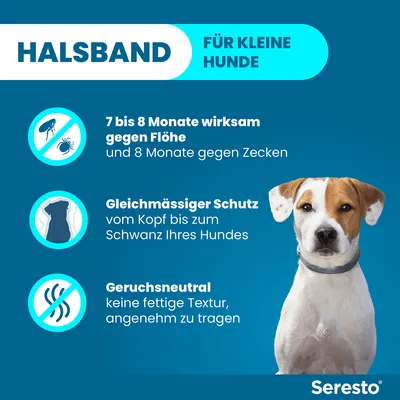 Halsband für kleine Hunde. Wirksam gegen Flöhe (7-8 Monate) und Zecken (8 Monate). Gleichmäßiger Schutz von Kopf bis Schwanz. Geruchsneutral, keine fettige Textur, angenehm zu tragen.
