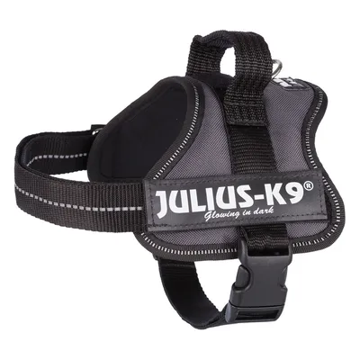 Julius-K9 dog harness, grey with reflective stripes and 'Glowing in dark' label.