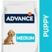 Advance Medium Puppy Protect pennuille