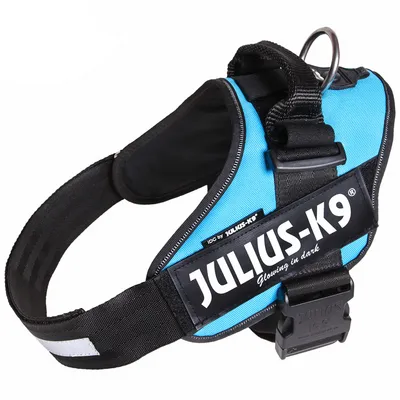 Pettorina per cani in tessuto blu con scritta visibile JULIUS-K9, fibbia nera e anello metallico. Etichetta aggiuntiva: Glowing in dark.