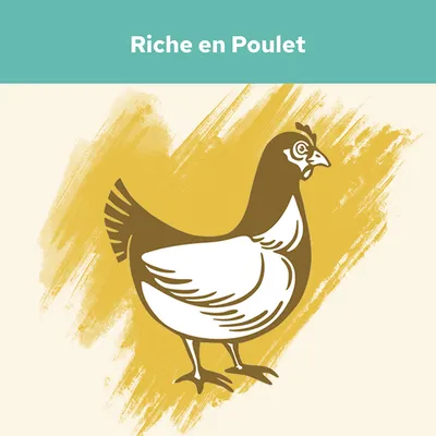 Texte « Riche en Poulet » avec illustration d’une poule, indiquant la présence importante de poulet dans le produit.