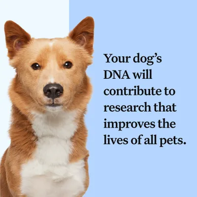 Text reads: Your dog's DNA will contribute to research that improves the lives of all pets.