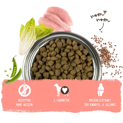 Trockenfutter in Napf mit Erbsen, Chicorée, Huhn und Leinsamen. Hinweise: Rezeptur ohne Weizen, L-Carnitin, Muschelextrakt für Knorpel & Gelenke. Trockenfutter in Napf mit Erbsen, Chicorée, Huhn und Leinsamen. Hinweise: Rezeptur ohne Weizen, L-Carnitin, Muschelextrakt für Knorpel & Gelenke.