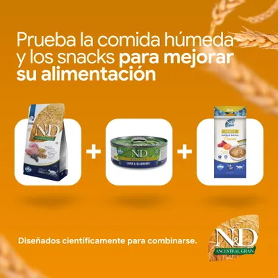 N&D Ancestral Grain pienso, N&D Prime Lamb & Blueberry comida húmeda y N&D Adult Cream Snack. Se pueden combinar para una mejor nutrición.