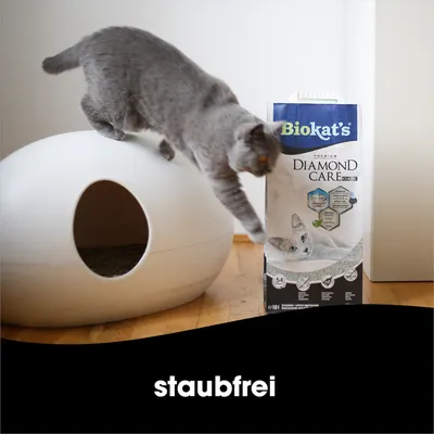 Biokat's Diamond Care Classic Katzenstreu, staubfrei. Verpackung neben einer Katzentoilette mit grauer Katze darauf.