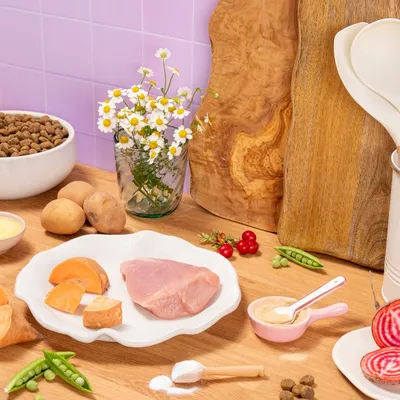 Pooch and Mutt Calm & Relaxed