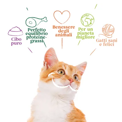 Cibo puro, Perfetto equilibrio proteine-grassi, Benessere degli animali, Per un pianeta migliore, Gatti sani e felici. Testo illustrato sopra un gatto arancione e bianco.
