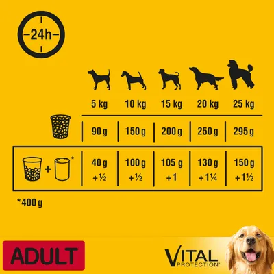 Consigli alimentari giornalieri per cani adulti 5–25 kg: solo secco 90–295 g, secco più umido (400 g): 40–150 g + ½–1½ lattine. Marchio VITAL PROTECTION. Testo ADULT.