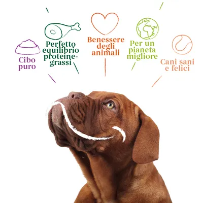 Cibo puro, perfetto equilibrio proteine-grassi, benessere degli animali, per un pianeta migliore, cani sani e felici. Testo con icone sopra un cane marrone.